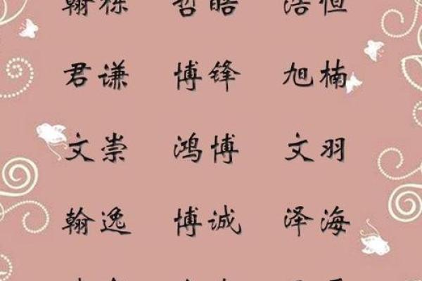起名怎么选轩，让你的名字更有格调