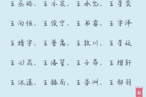 起名怎么选轩，让你的名字更有格调