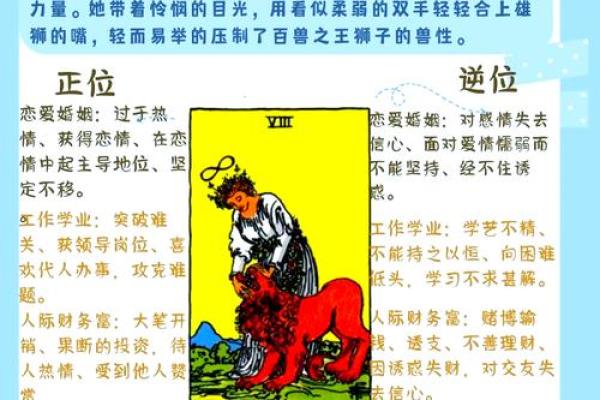 揭秘：阴木命背后的神秘力量，你了解多少？