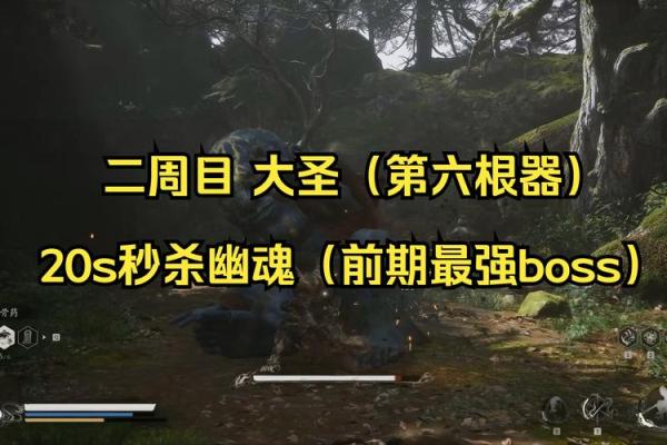 揭秘：阴木命背后的神秘力量，你了解多少？