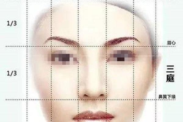 董文华面相揭秘：揭秘明星面相中的富贵与魅力