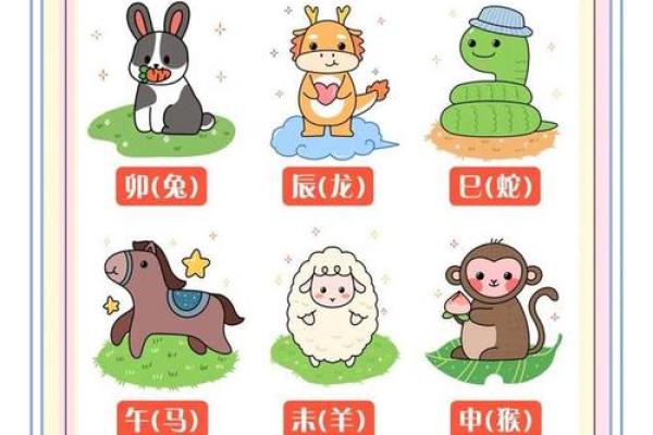 十二生肖，揭秘生肖运势，谁是你的幸运星？