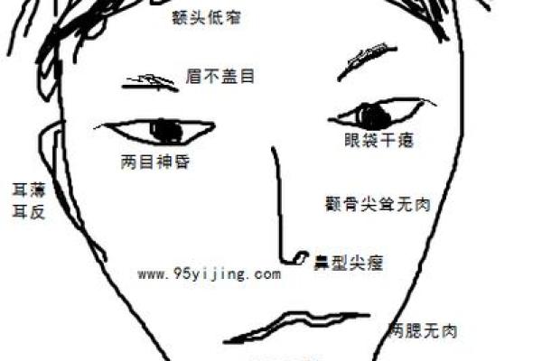 面相识人：揭秘你的命运密码，一窥未来吉凶