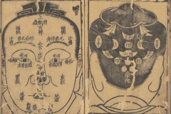 面相识人：揭秘你的命运密码，一窥未来吉凶