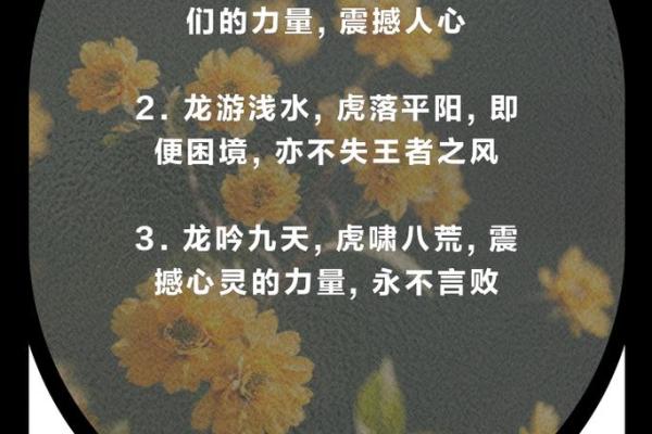 虎啸山林，龙腾四海——2024藏历生肖运势大揭秘