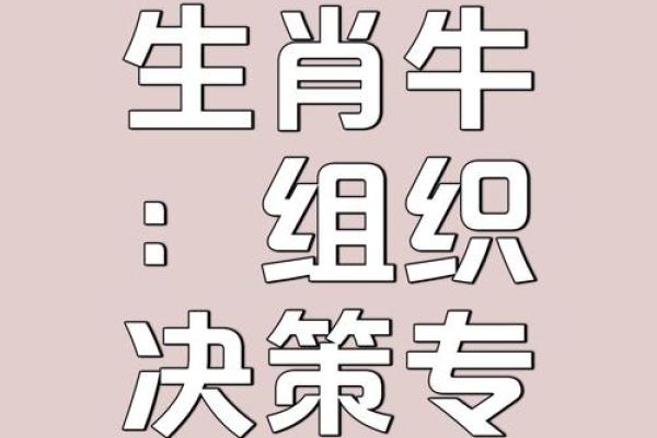 属牛公司命名策略：从个性化到行业领先的全方位思考