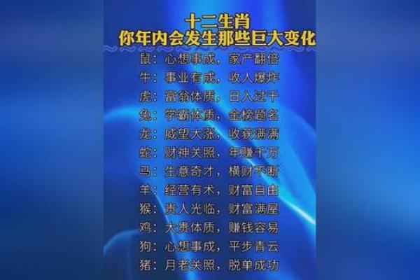 壬寅年运势揭秘：你的生肖命理大揭秘