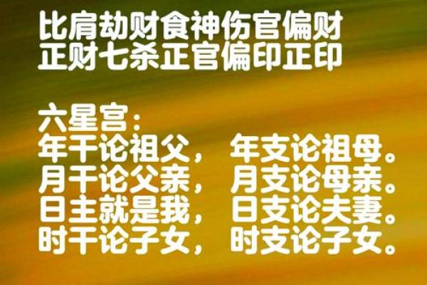 日干论命：揭秘命运密码的神奇法则