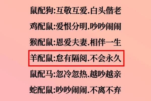 生肖配对新看点：虎鼠搭配，幸福指数爆表