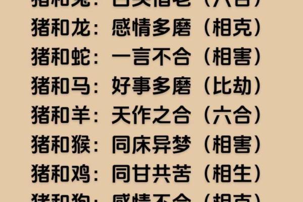 你知道属猪人的五行属性吗？一文带你全面了解