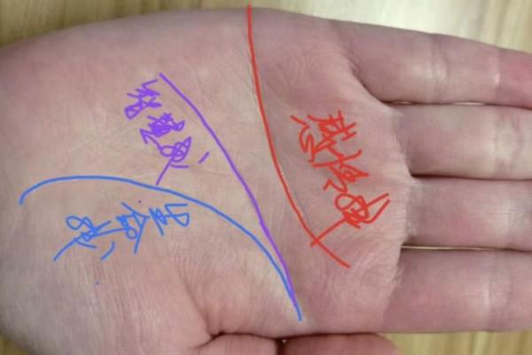 揭秘手相守财秘籍：麻衣神相教你轻松掌握财运