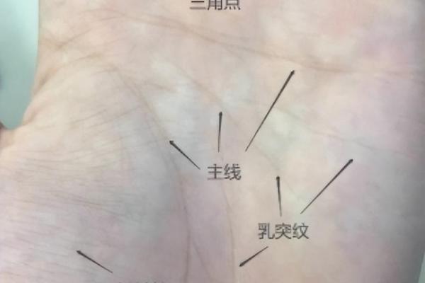 揭秘手相之谜：真伪难辨，你信还是不信？