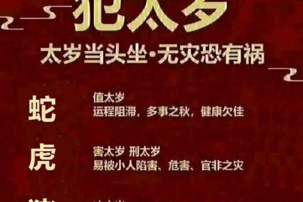 花开富贵：二月生肖运势大揭秘，红红火火过大年