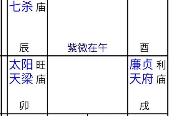 专家揭秘紫微排盘裁，助你预测未来命运走向