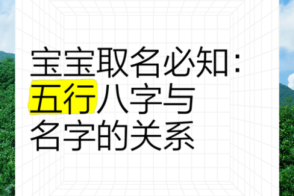从五行八字看桐起名字，带你走向好运