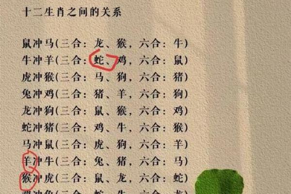 生肖配对大揭秘，你的命中注定另一半在这里