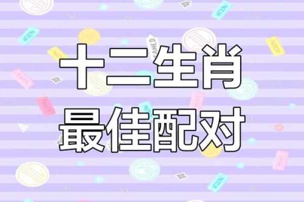 龙年生肖配对指南：揭秘最适合你的另一半
