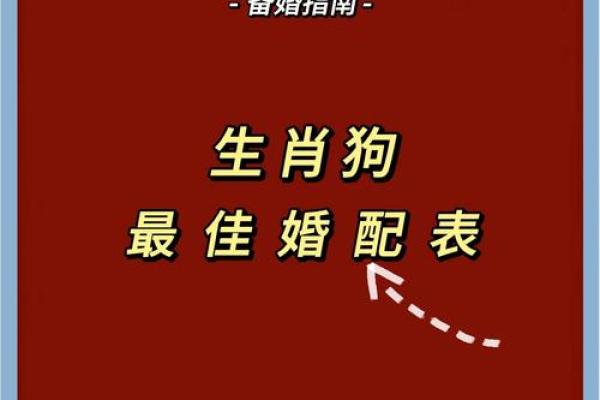 龙年生肖配对指南：揭秘最适合你的另一半
