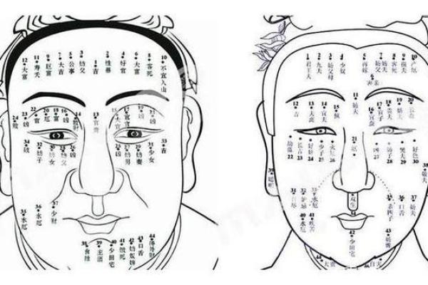 眉宇间藏富贵：揭秘男性眉毛面相的秘密