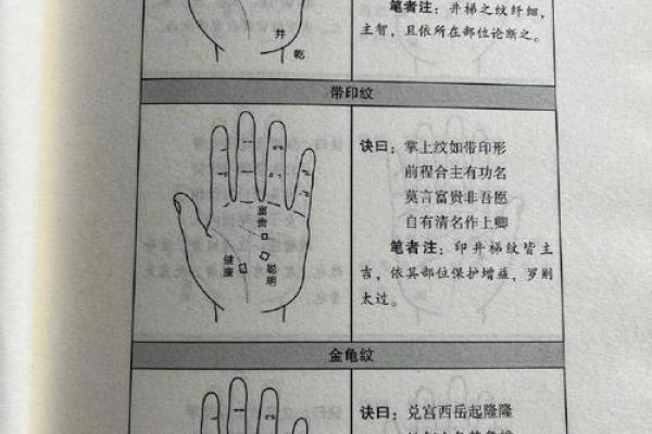 揭秘手相奥秘：风水命理星座齐聚，带你走进手相的神秘世界