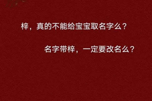 梓字起名秘诀，送给孩子最特别的祝福