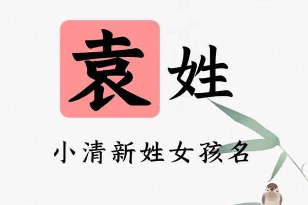 袁姓男孩女孩名字大全，轻松选择最适合的名字