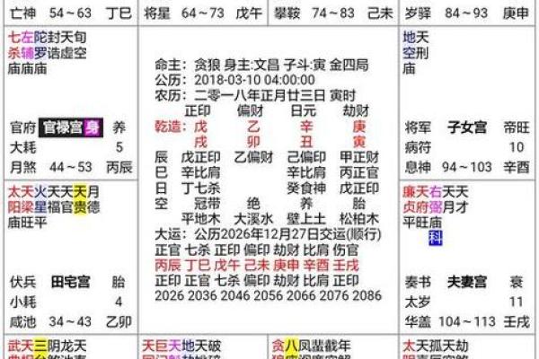 深入解析王亭之紫薇斗数排盘：探索你的人生密码
