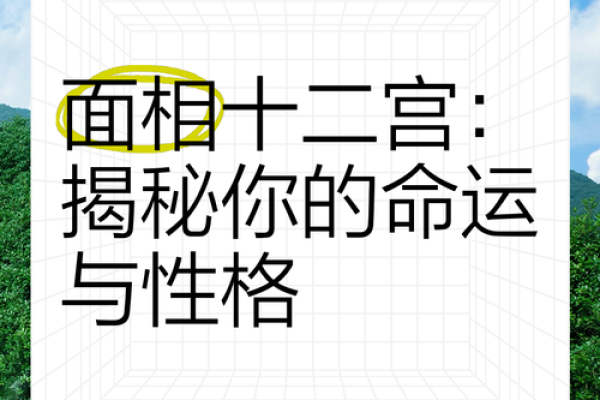 高发际线女性面相解析：揭秘命运与性格的秘密