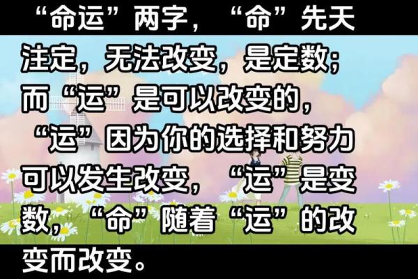起名艺术与命运：名字背后的深刻含义