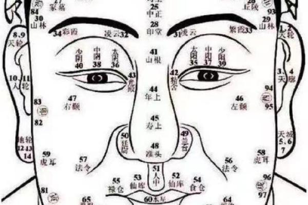 面相手相体相痣相全攻略：掌握人生运势关键