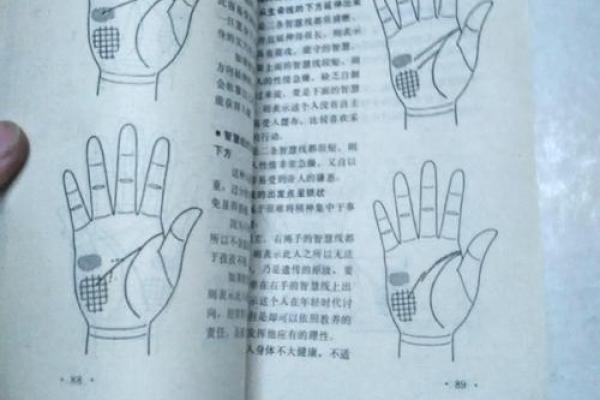 面相手相体相痣相全攻略：掌握人生运势关键
