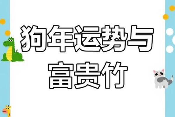 狗年运势佳配：揭秘与狗相配的幸运生肖