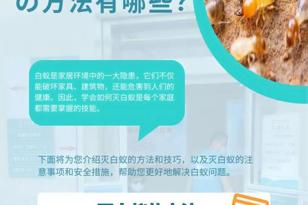 白蚁入侵，揭秘有白蚁房子的风水禁忌与化解之道