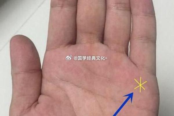 女人手相财运揭秘：财运线到底暗示了什么？让你的财运一飞冲天