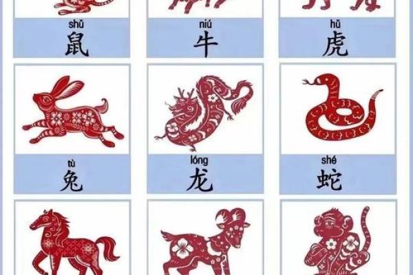 权生肖：揭秘十二生肖背后的神秘力量