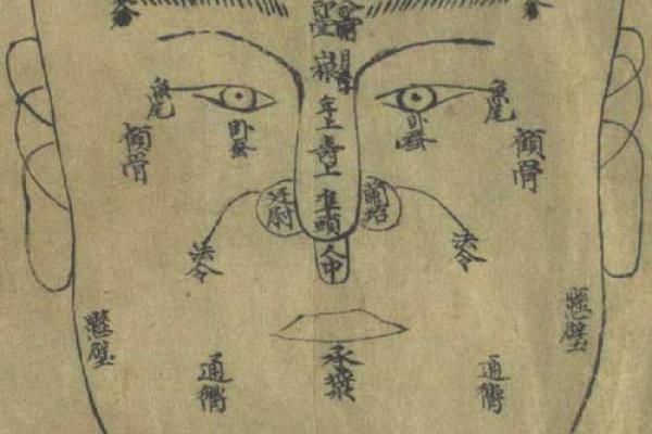 麻衣神相痣相之谜，揭示人生百态