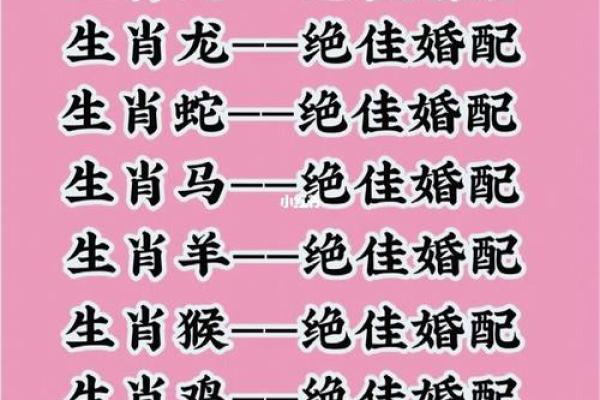 美女属相配对秘籍，邂逅你的命中注定