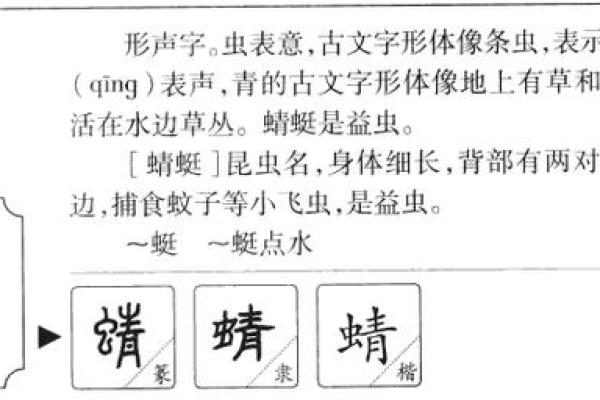 八字组词的魅力，激发你的创作灵感