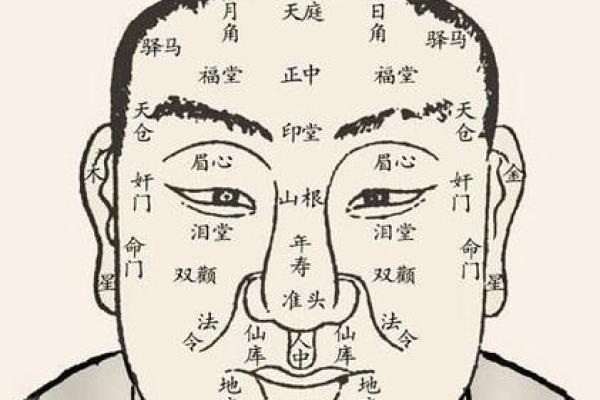 揭秘12宫面相：揭秘命运之谜，一眼看穿你的未来