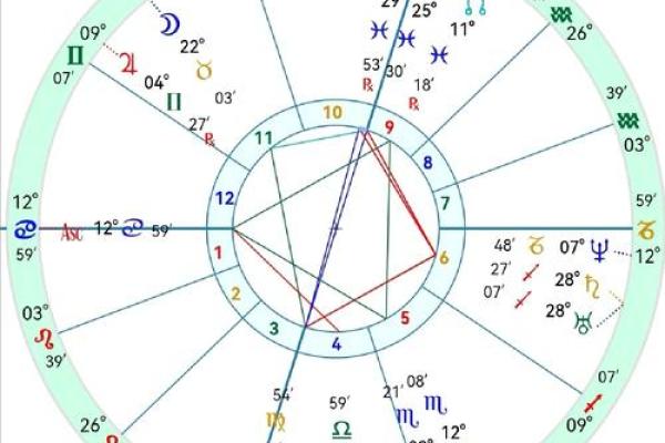 探索杨五行属性，揭开命运之谜