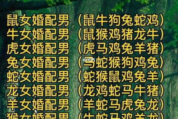 姻缘天注定？速看史上最全属相配婚对照表
