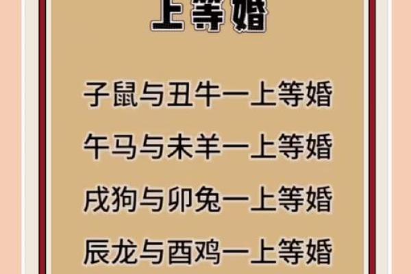 未羊午马，缘定三生