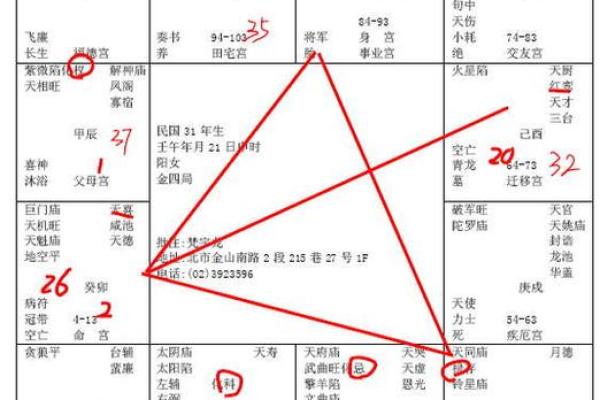 紫微斗数排盘揭秘：免费详解你的命运密码