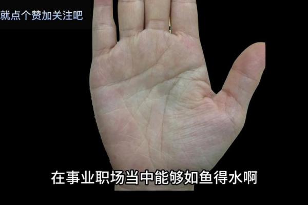 揭秘女财运旺手相掌握财富密码，轻松吸引滚滚财源