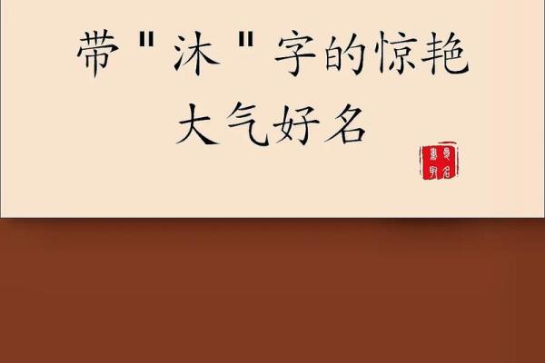 沐字命名技巧，打造响亮品牌的第一步