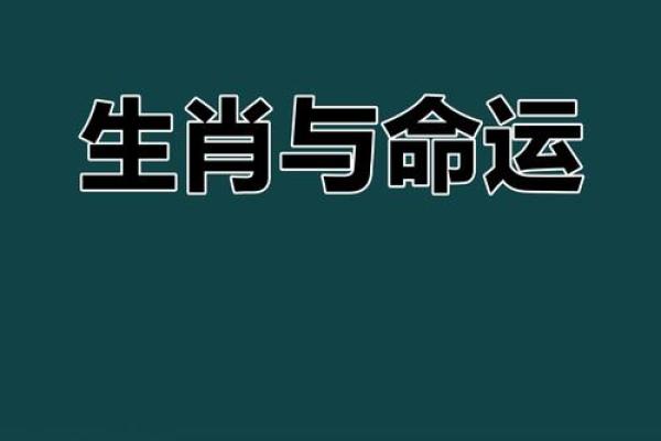 电脑生肖揭秘：揭秘科技宠儿的生肖秘密