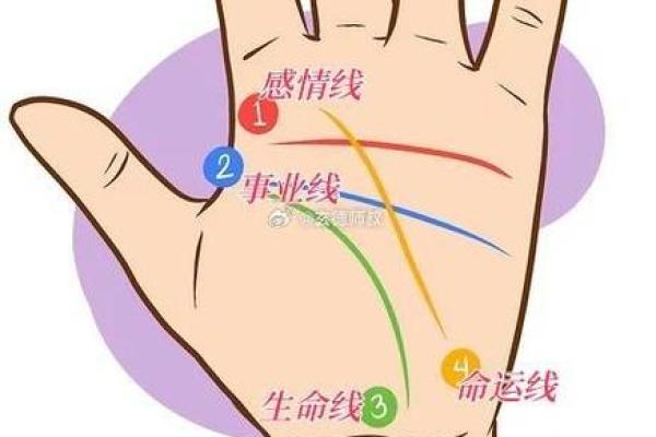 揭秘女人命大人手相，掌握命运密码