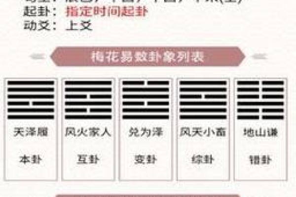 iOS梅花排盘揭秘：如何通过这款神器提升你的生活运势