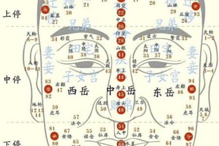 男性面相解析：揭秘脸型与运势的神秘关系
