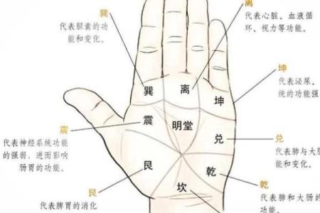 痣相解读：揭秘手相中的运势密码